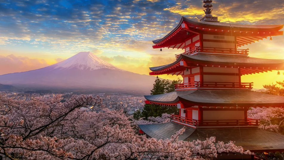 Day 06/75 – Comfort Is Not Enough