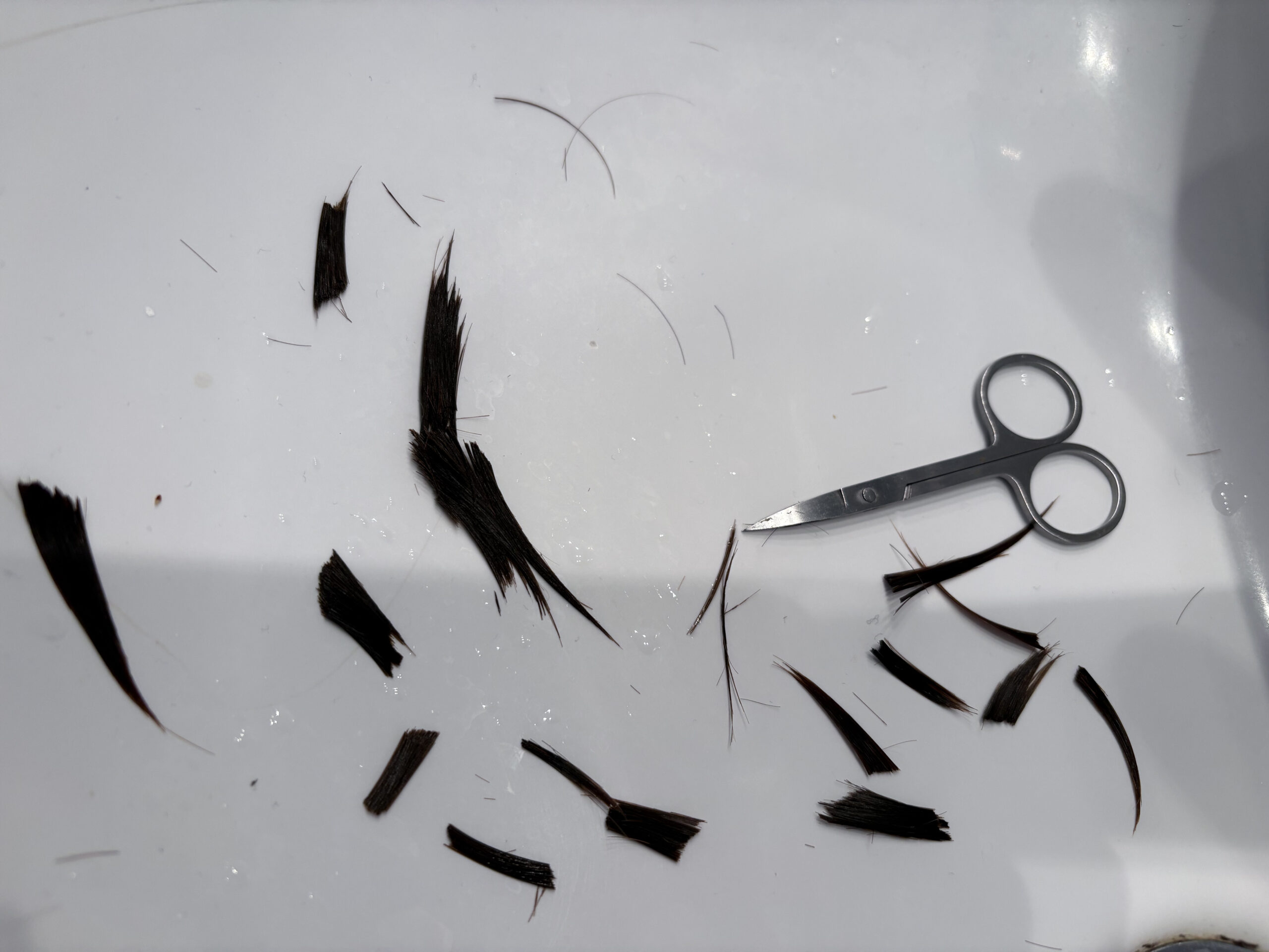 Day 13/75 – A Quiet Shift