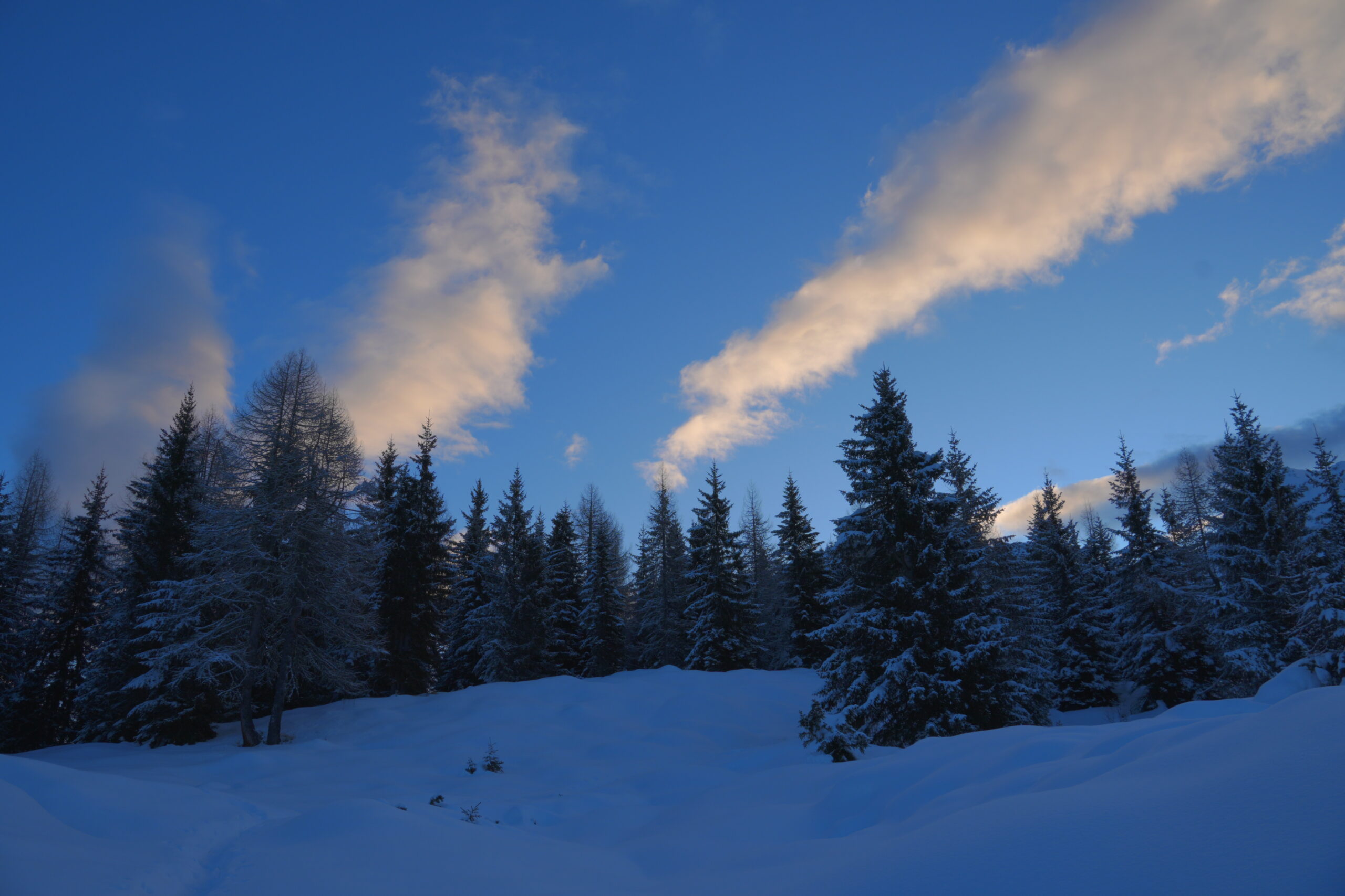 Day 41/75 – La via