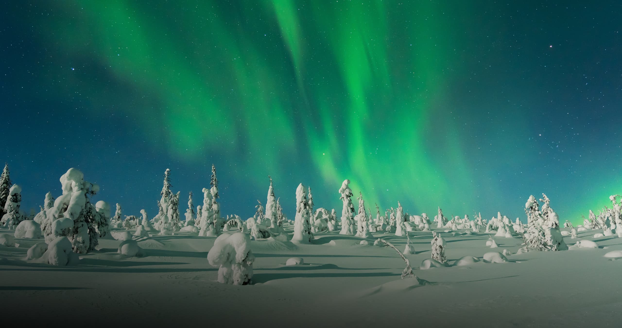 Day 49/75 – Comeback